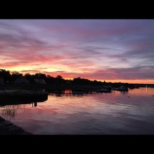 Meet your Posher, Ella